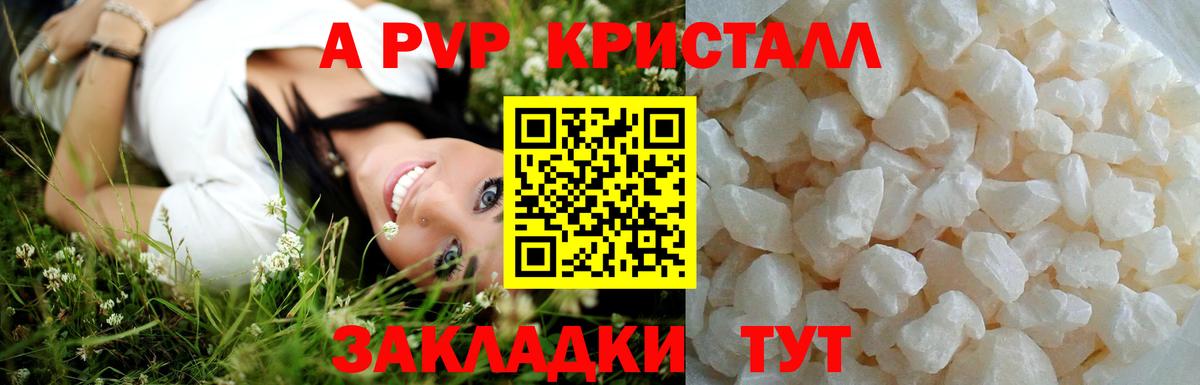 Alfa_PVP СК КРИС Астрахань