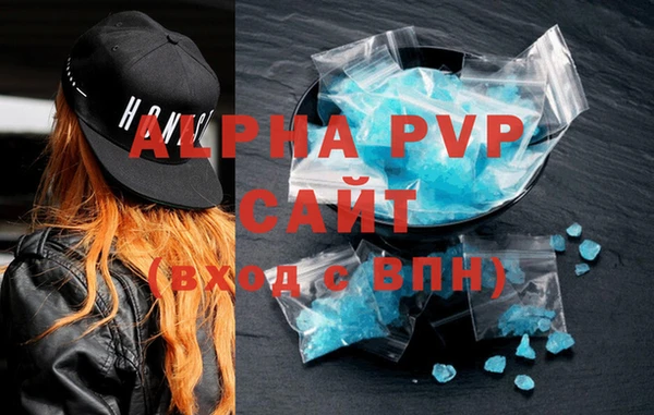 СК Бронницы