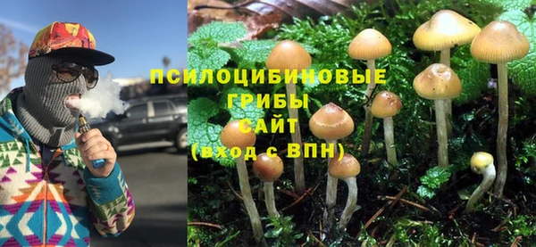 МДПВ Майский