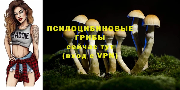 mdpv Магадан