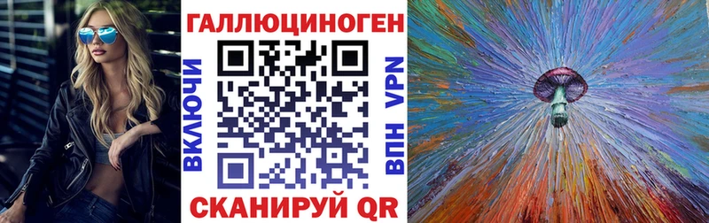Галлюциногенные грибы Psilocybe  купить   Астрахань 