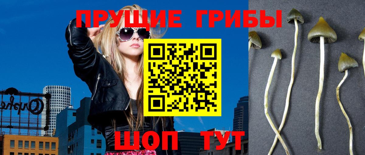 Псилоцибиновые грибы Magic Shrooms  купить   Астрахань 